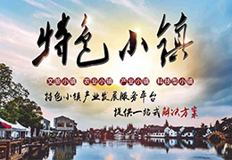 特色小鎮運營