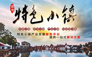 市場機制下的特色小鎮該如何運營